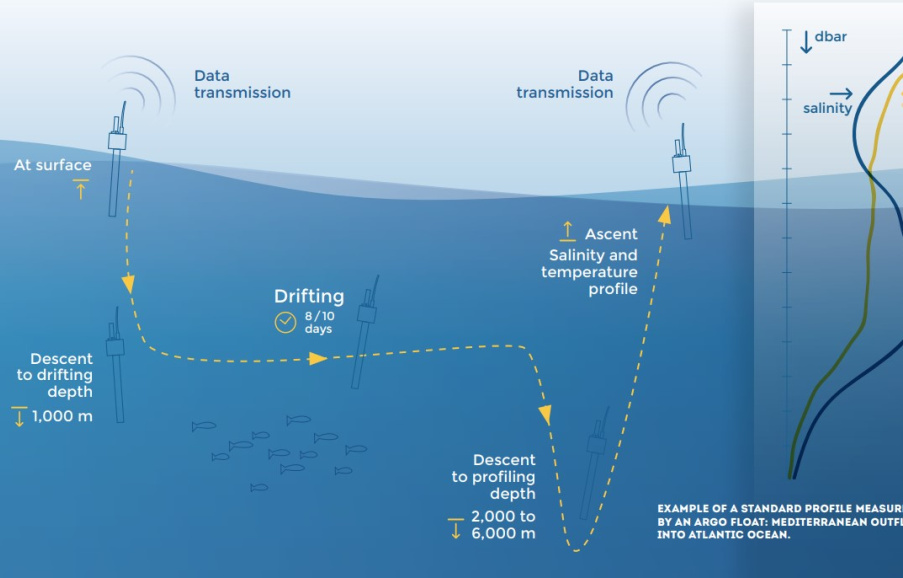 Typical cycle of an Argo float