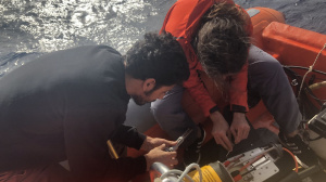 Check on the boat before glider deployment