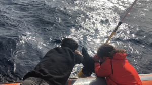 Cretan Sea glider deployment from the boat