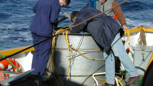Preparation of the calibration tank (December 2000) 