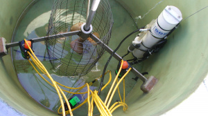 Inside the calibration tank (December 2000)