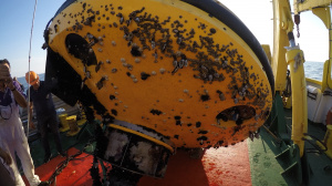 Athos buoy just recovered (June 2018)