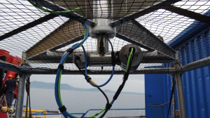 The connections of the camera and the acoustic recorder (May 2018)