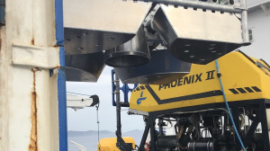 The platform is lifting from the deck (May 2018)