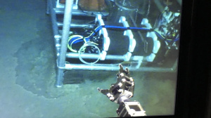 Final adjustments are made by the ROV (May 2018) 