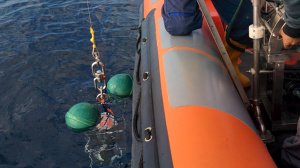 CTD ready to go (Nov. 2015)