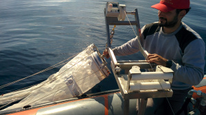 Plankton Net sampling (Nov. 2015)