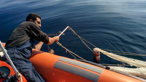 Plankton Net sampling (Nov. 2015)