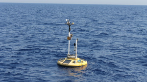 E1-M3A buoy (Sep. 2016)