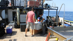 Preserving the samples collected by net (Sep. 2016)