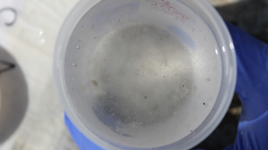 Preserving the samples collected by net (Sep. 2016)