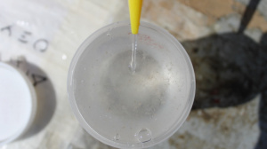 Preserving the samples collected by net (Sep. 2016)