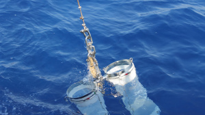 Plankton Net sampling from R/V Philia (Sep. 2016)