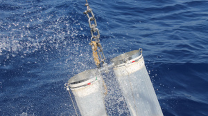 Plankton Net sampling from R/V Philia (Sep. 2016)