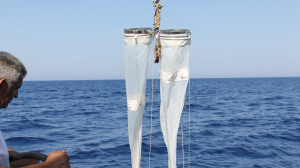 Plankton Net sampling from R/V Philia (Sep. 2016)