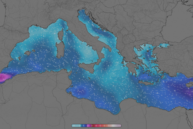 wave forecasting model (WAM)