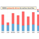 Percentage of marine heatwaves (MHWs) for the entire Mediterranean Sea